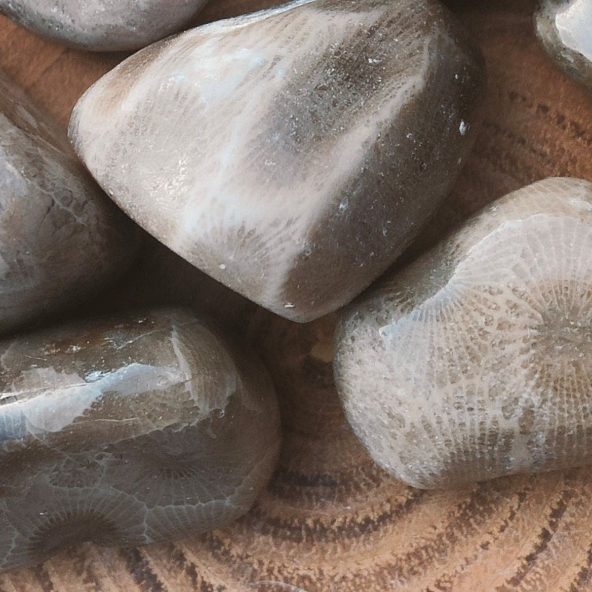 Petoskey Tumblestone (M)