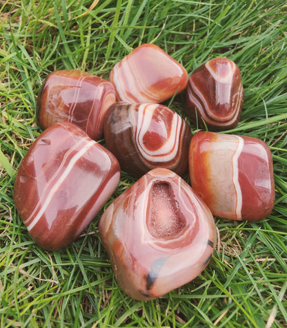Red Agate Polished Tumblestones (L)