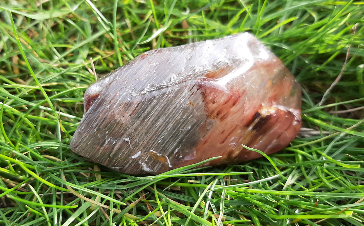 Garden Shamanic Dream Amphibole Quartz 7cm