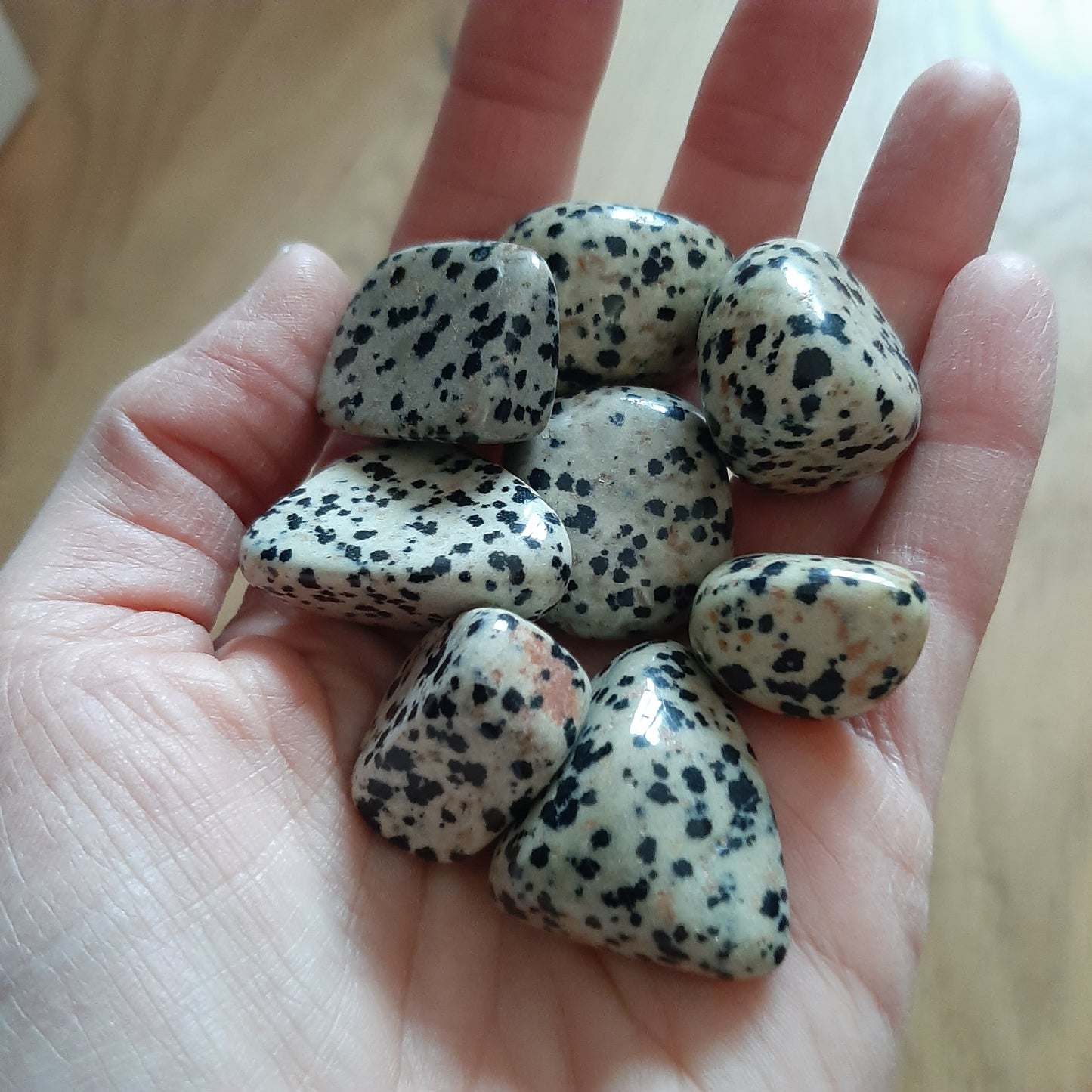 Dalmation Jasper Tumblestones (M)