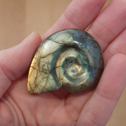 Labradorite Ammonite 5cm