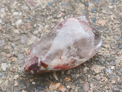 Garden Shamanic Dream Amphibole Quartz