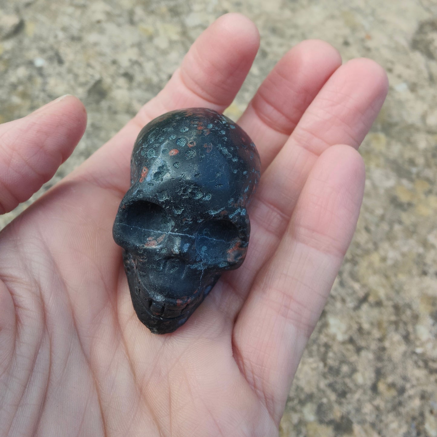 Dragon Stone Jasper Skull - Seconds