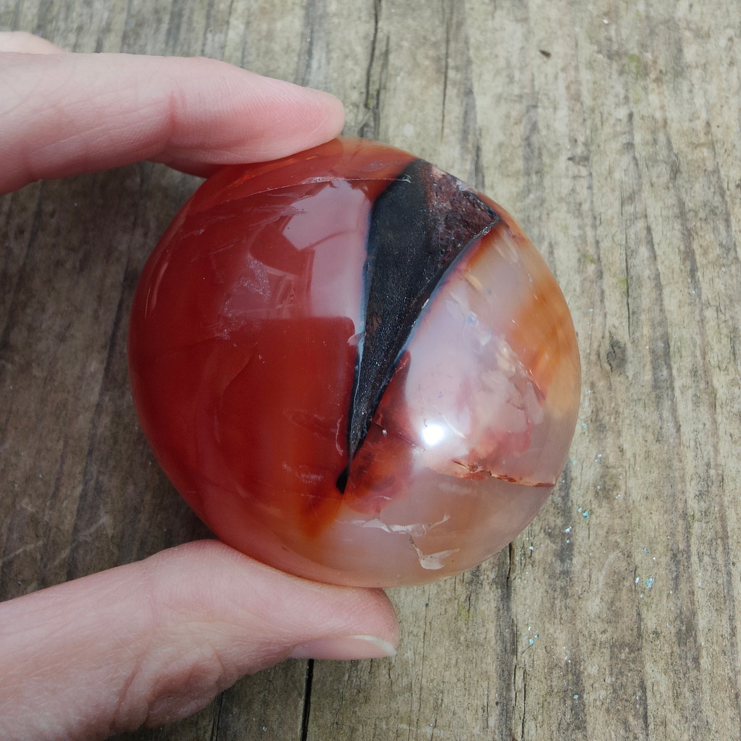 Carnelian Polished Freeform 172g