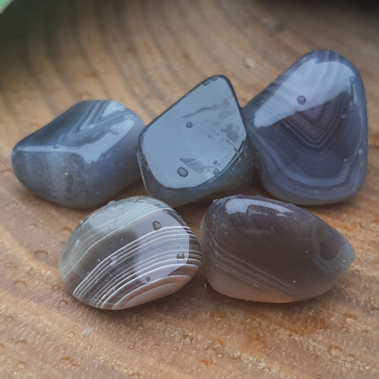 Botswana Agate Tumblestones (S)