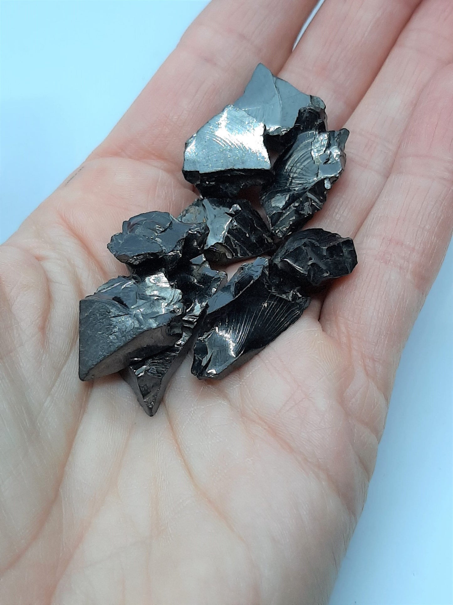 Shungite Elite Rough Crystals