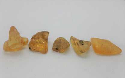 Genuine Amber chunks 2-5g