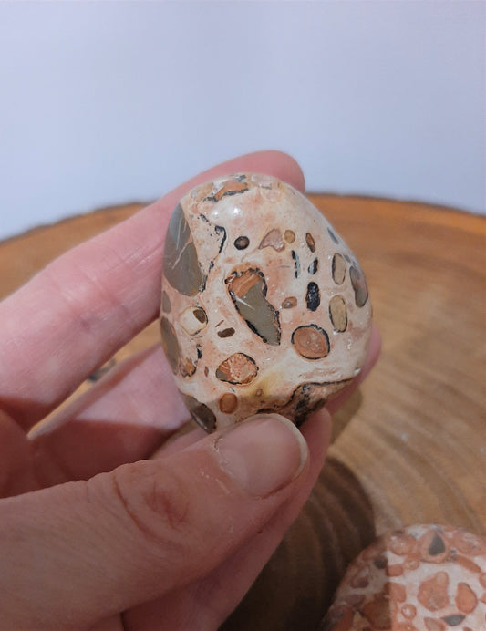 Leopardskin Jasper Palm Stone