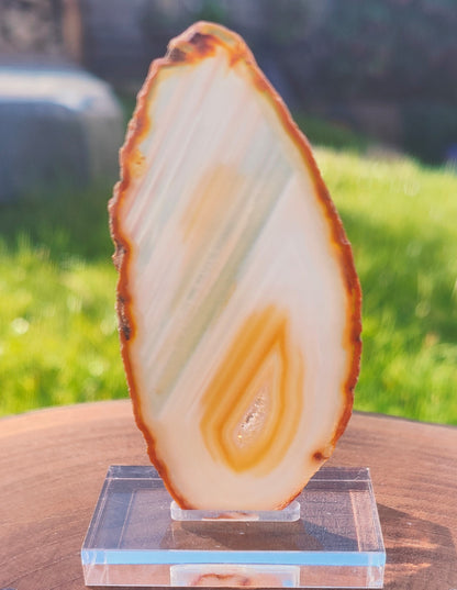 Agate slice on stand