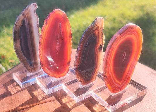 Brown Agate slice on stand